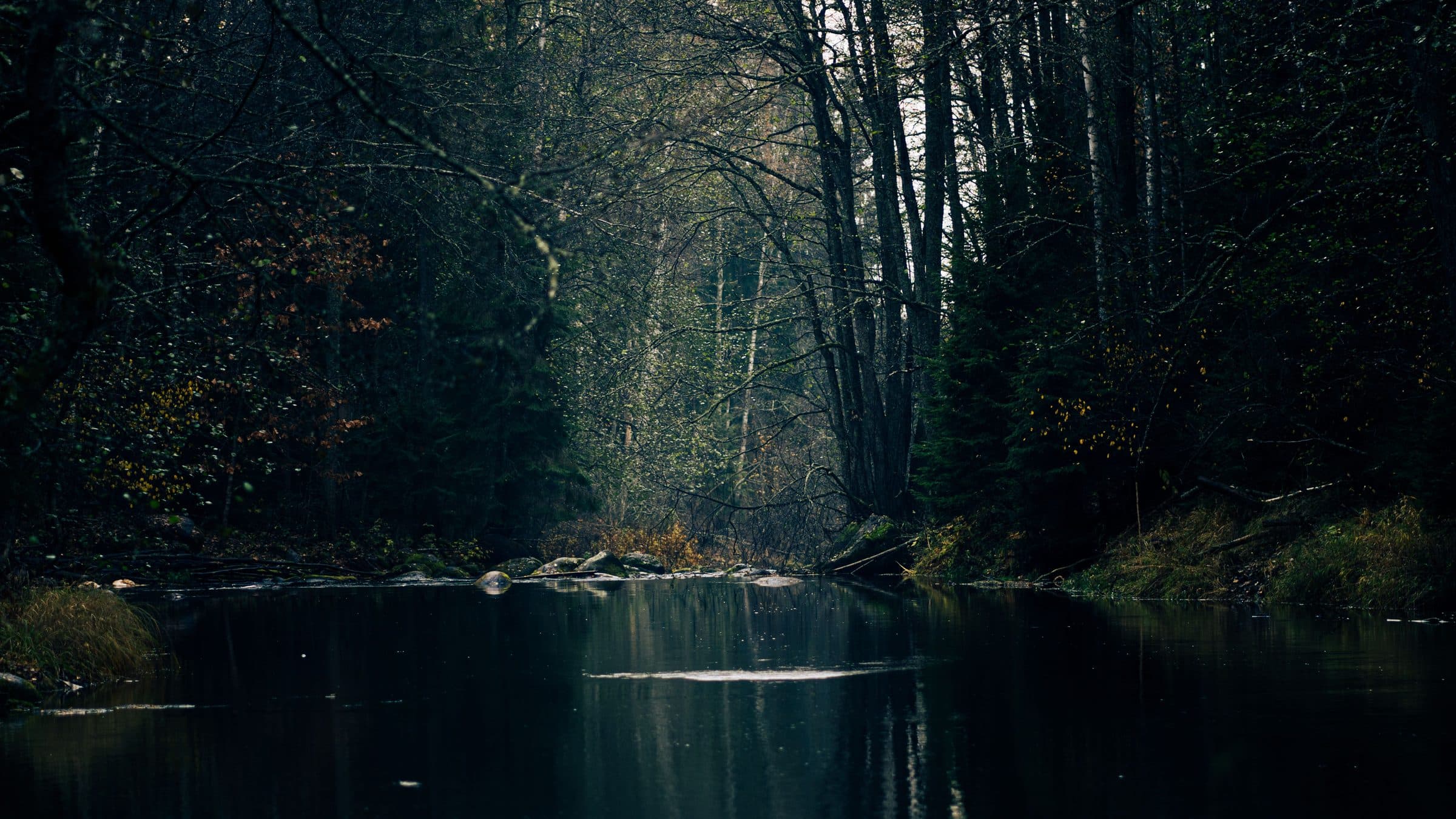 A dark river running through a forest, the water still enough to hold the trees