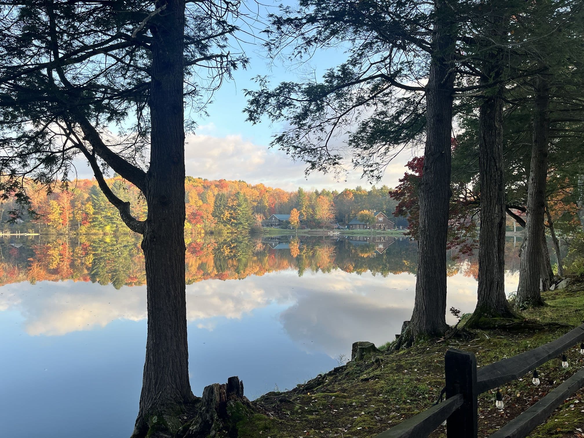 Hemlocks on a lake shore in early autumn, the far shore and sky mirrored in still water